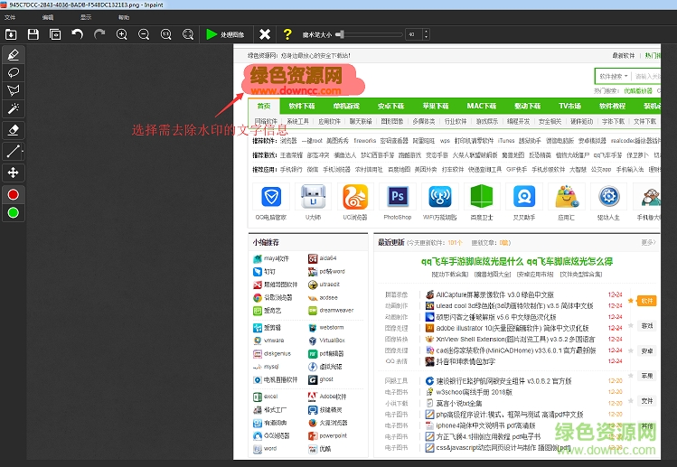 Inpaint去水印綠色版