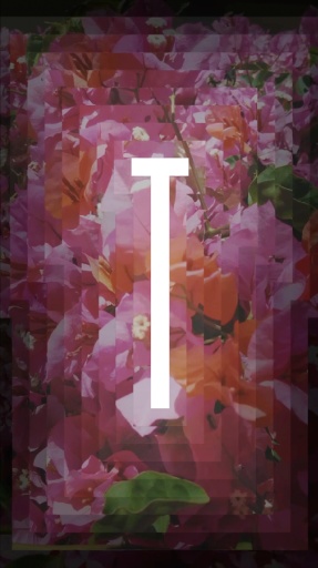 Tunnel vision手機版