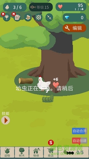 林中小憩