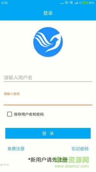 鴿小寶1