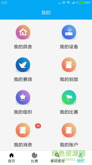 鴿小寶0