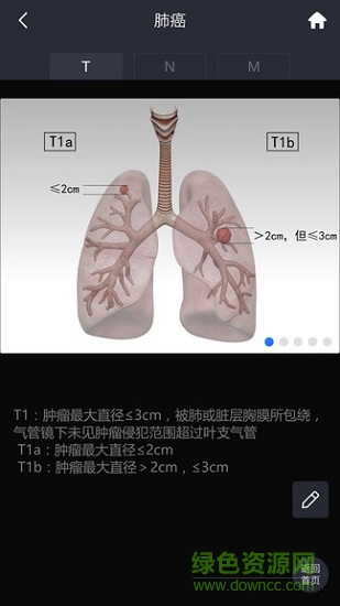 醫(yī)可視醫(yī)生版 v1.1.2 安卓版 1