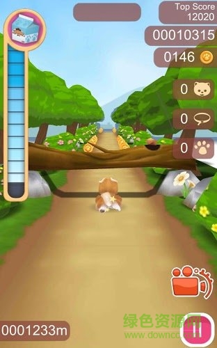 可愛(ài)寵物狗狗(Cute Pet Puppies) v1.0.4 安卓版 1