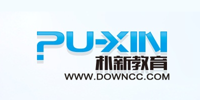 樸新教育
