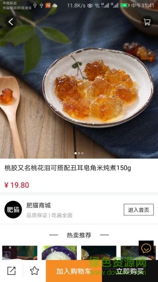 肥貓圈子2