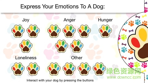human to dog