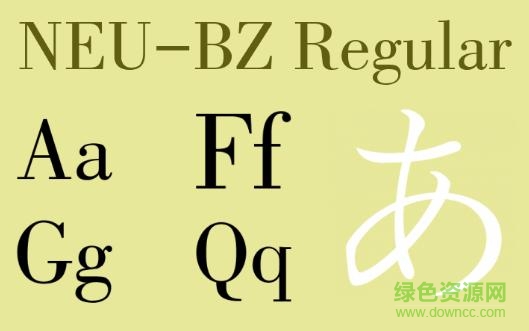 neu bz regular  0