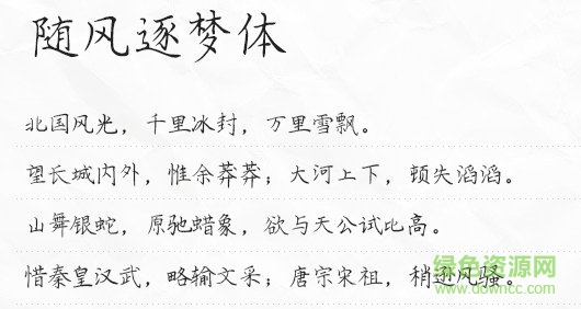 隨風(fēng)逐夢體  0