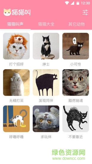 逗貓神器app