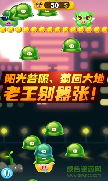 豬豬王