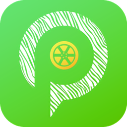 斑馬停車app