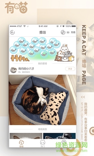 有喵云養(yǎng)貓 v1.1.1 安卓版 2