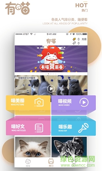 有喵云養(yǎng)貓app
