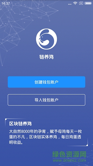 區(qū)域鏈養(yǎng)雞