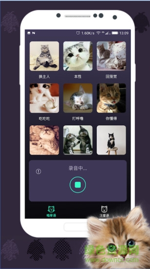 人貓翻譯器軟件 v1.3.0 安卓版 2