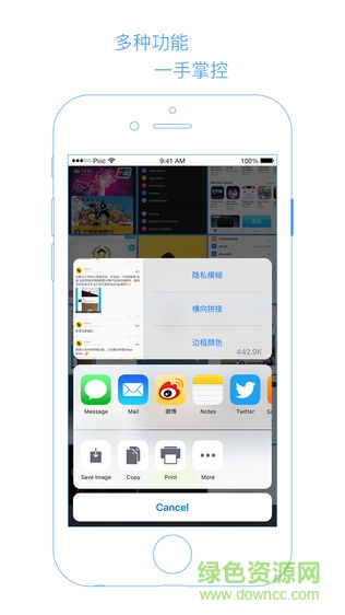 Piiic 2拼長(zhǎng)圖ios版 v1.0.1 iphone手機(jī)版 1