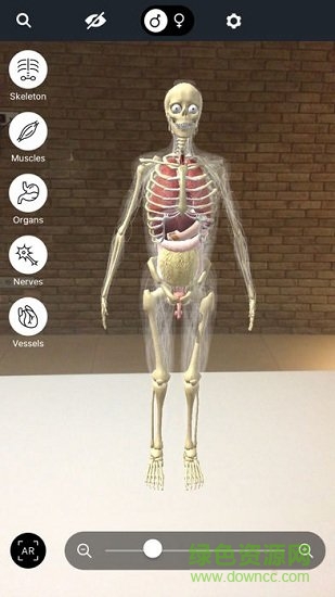 發(fā)現(xiàn)人體AR v7.8.2 最新版 0
