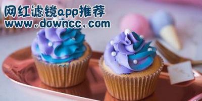 網(wǎng)紅濾鏡