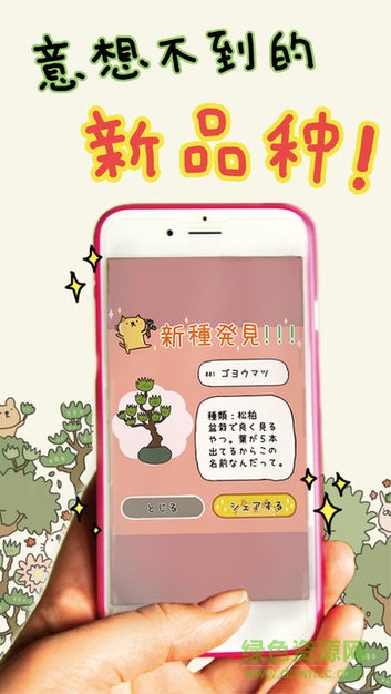 貓咪栽培2