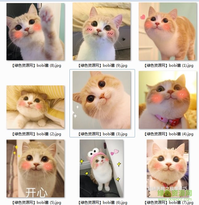 bobi醬表情包