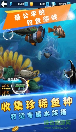 天天愛釣魚安卓版
