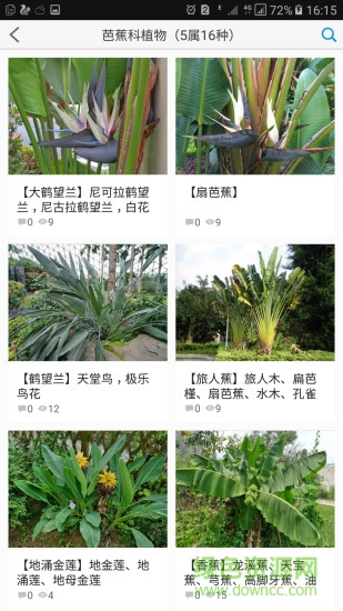 植物大全 v3.1 安卓手機版 0