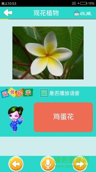 看圖識(shí)花軟件 v3.9  安卓版 0