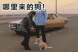 一腳把狗踢飛 gif