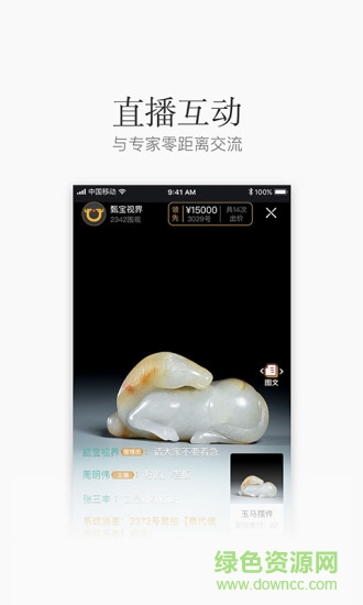 甄寶視界