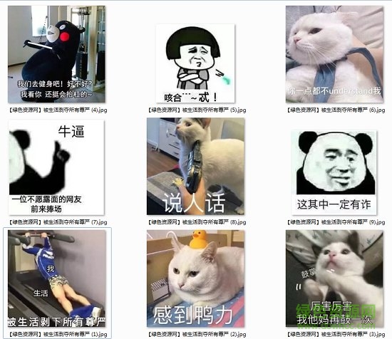 被生活剝下所有尊嚴(yán)表情包