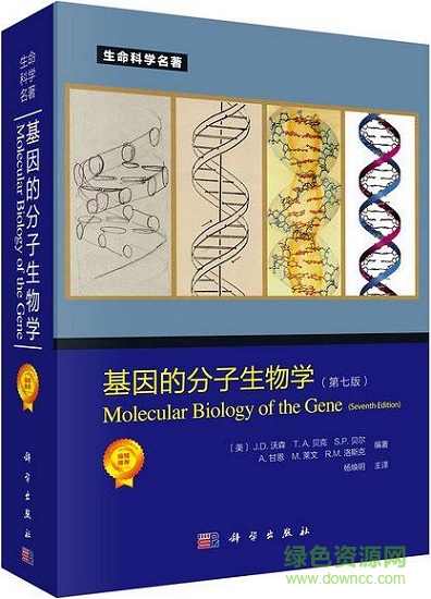 基因的分子生物學(xué)第七版