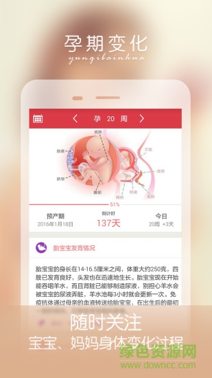 孕婦伴侶app