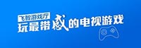 上海飛智電子科技有限公司<