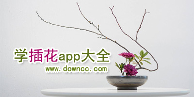 插花app哪個(gè)好?花藝app有哪些?學(xué)插花app-學(xué)習(xí)花藝的app
