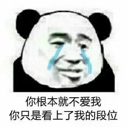 熊貓頭你根本不喜歡我表情包