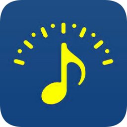 專業(yè)定音器手機版