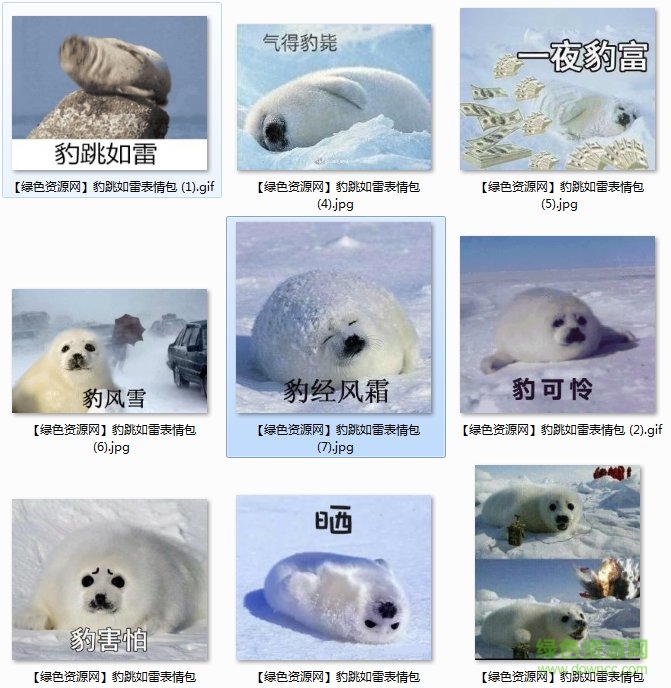 豹跳如雷表情包gif