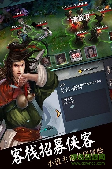 流浪俠客果盤版