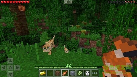 我的世界基巖版正式無(wú)敵版 v1.17.41.01 內(nèi)購(gòu)安卓版 2