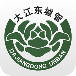 大江東城管