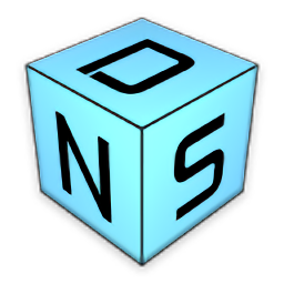 Override DNS