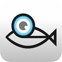 斑馬魚愛眼