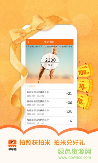 單單拍