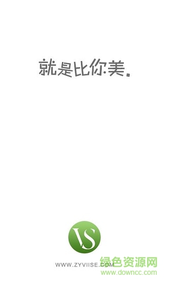viise下載