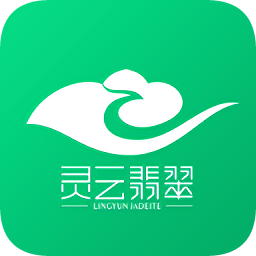 靈云導購版