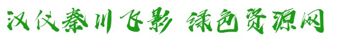 漢儀秦川飛影
