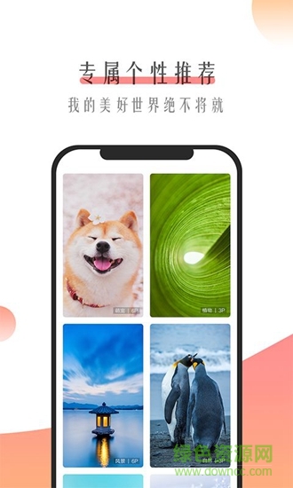 米柚壁紙 v1.0.0 安卓版 0