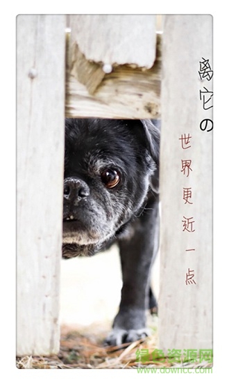 寵界手機(jī)版 v3.2 安卓版 0