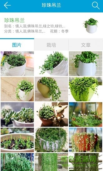 護(hù)花網(wǎng)手機(jī)版 v1.0 官方安卓版 2
