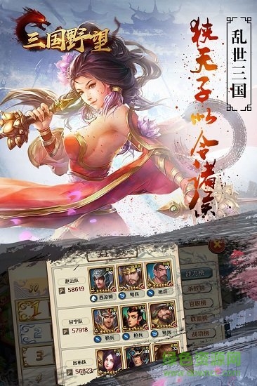 三國野望